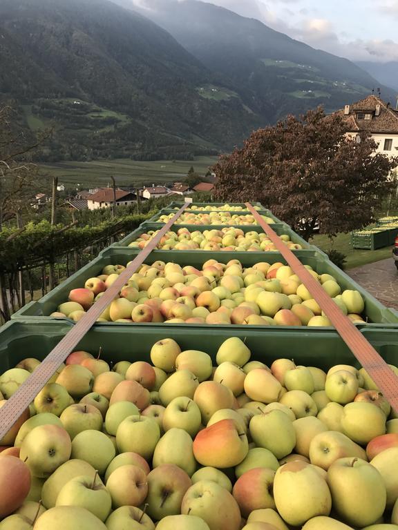 Klostergut Castelbello Luaran gambar